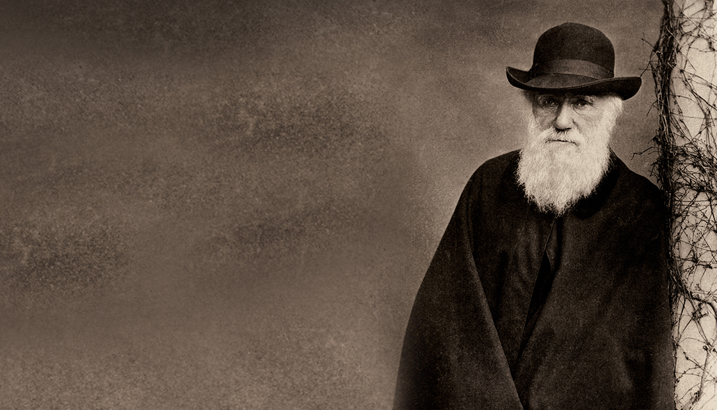 Charles Darwin portrait