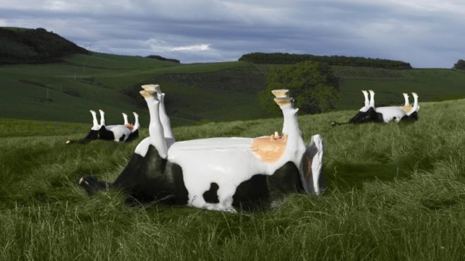 Field of cows flipped over on back