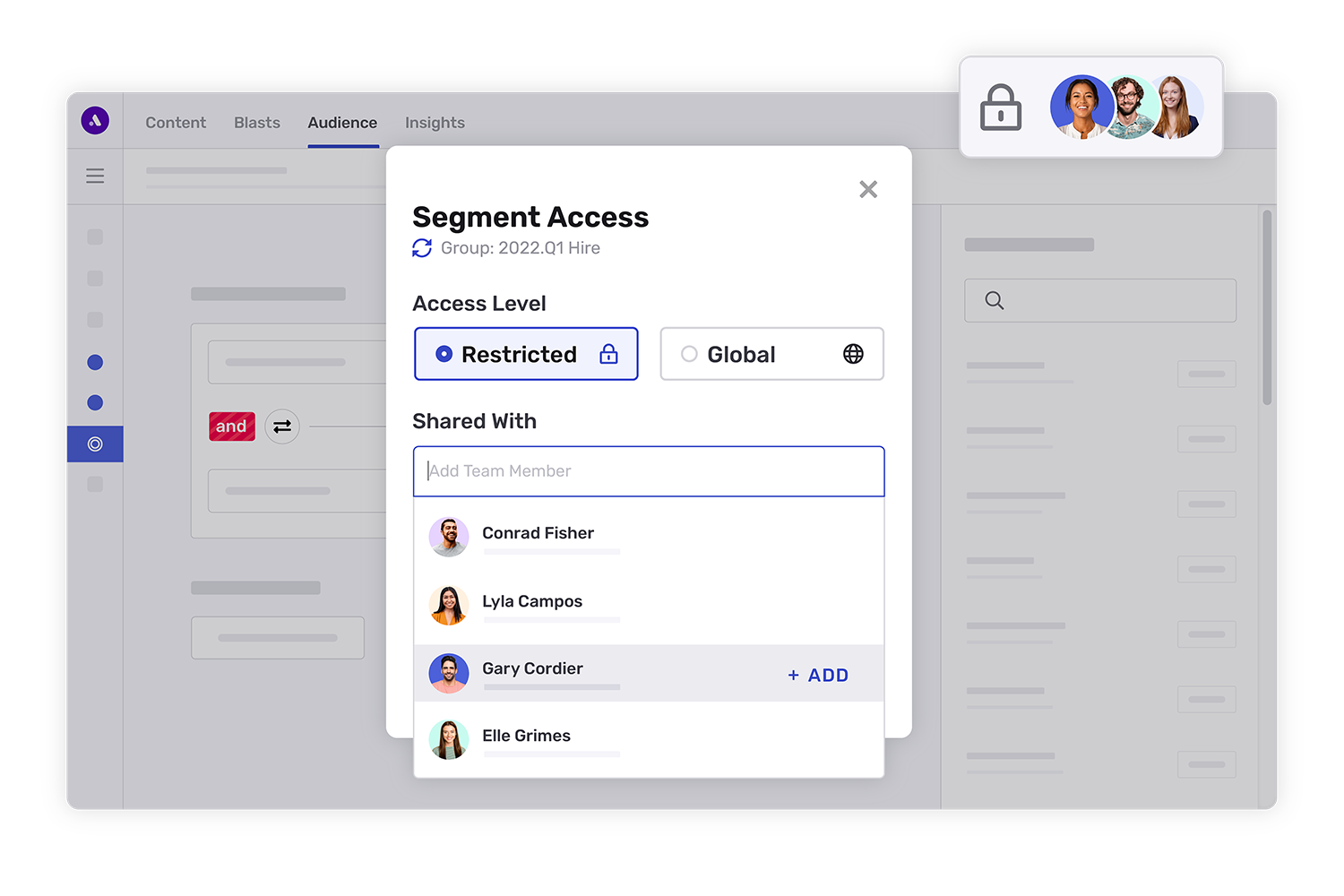 Audience Manager Segment Access Level