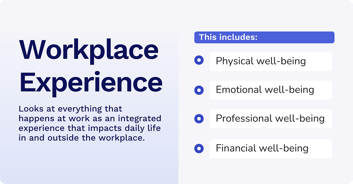 workplace experience factors